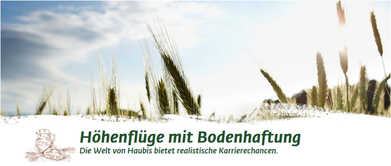 Jobs bei Haubis GmbH